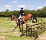 Wanborough Horse and Dog show